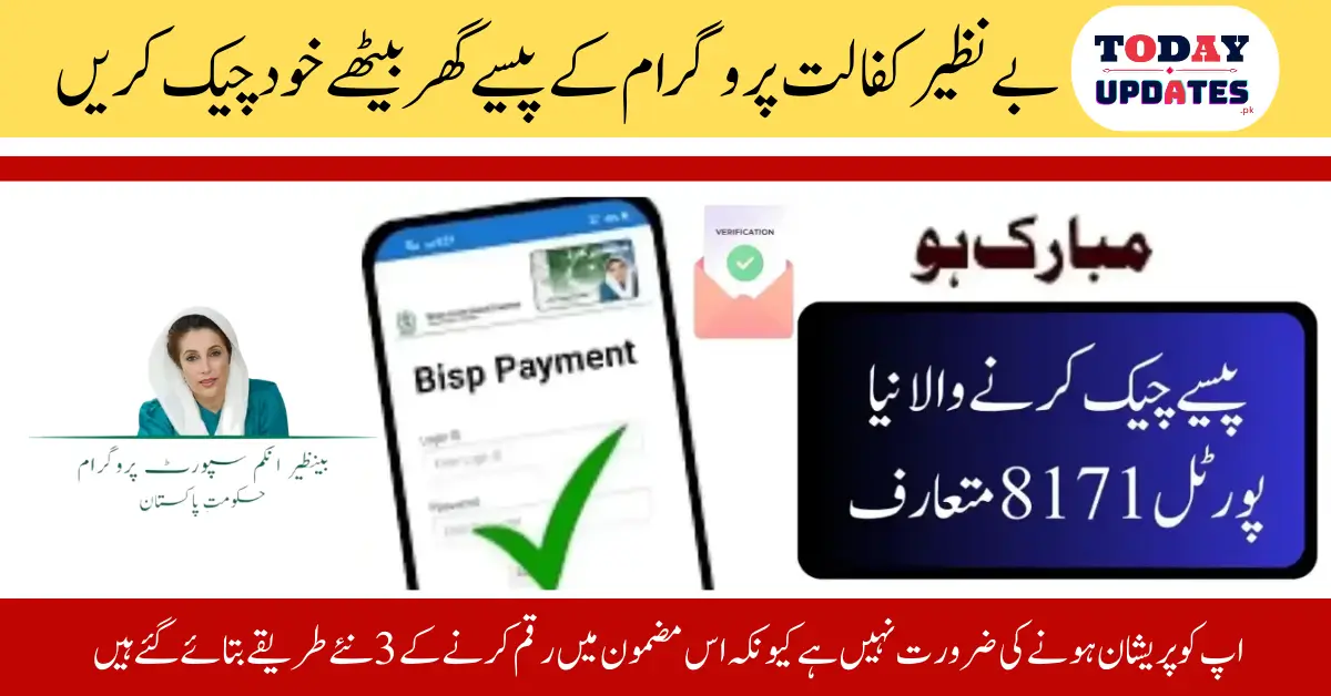 How to Check Your Ehsaas New Payment Status via 8171 SMS – Easy Step-by-Step Guide