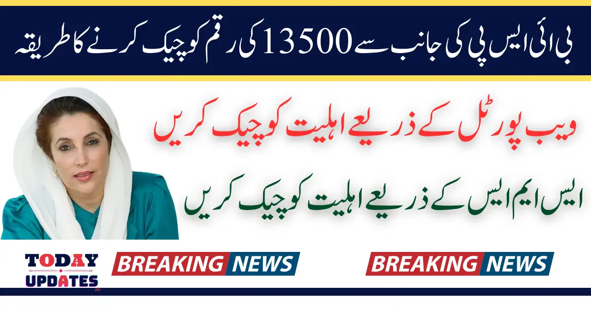 BISP 8171 March 2025 Payment Eligibility Check Through Web Portal And SMS