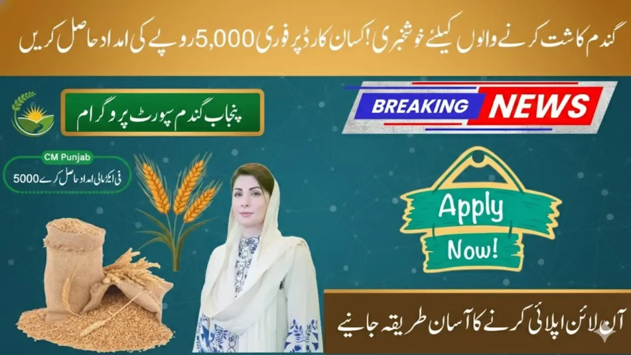 CM Punjab Wheat Support Program 2025 Online Registration For 5000 Per acre