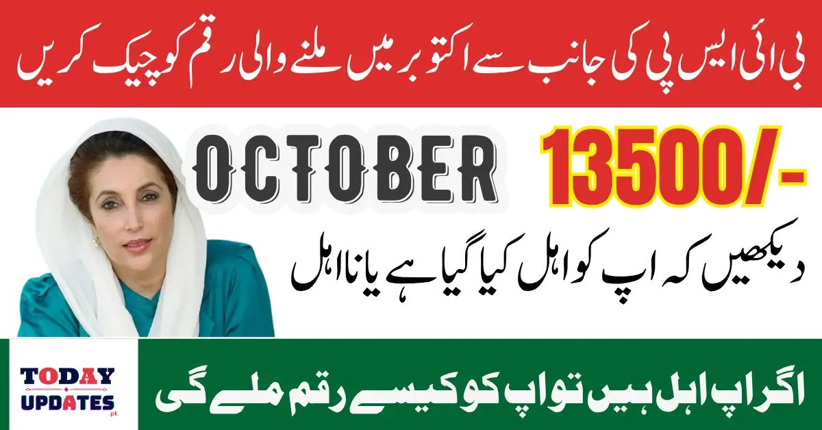 BISP 8171 Payments November 2025 Check Eligibility Status Using CNIC Via Online Portal