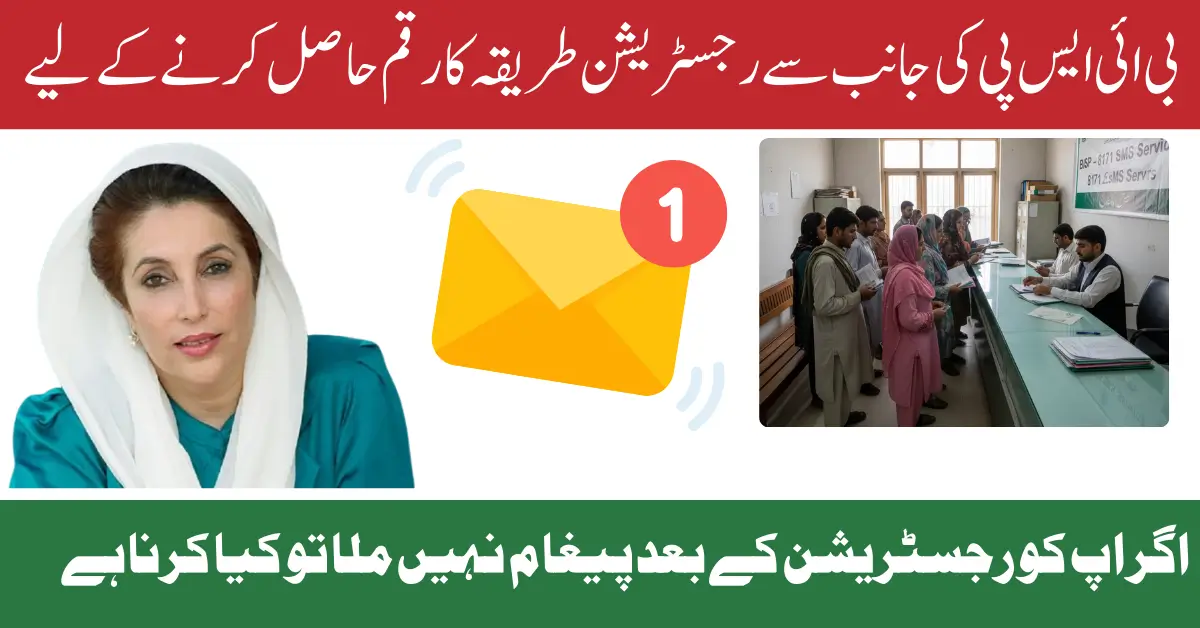 BISP 8171 SMS Service Opened to Review BISP Disqualified Persons via Tehsil Office 2025